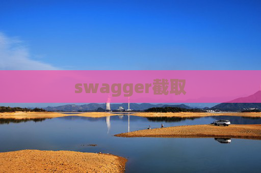 swagger截取